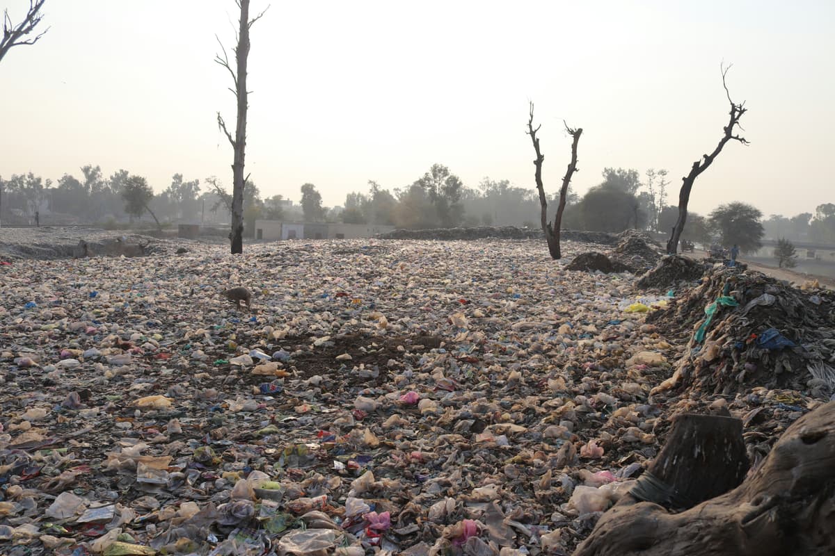 Scorched Earth